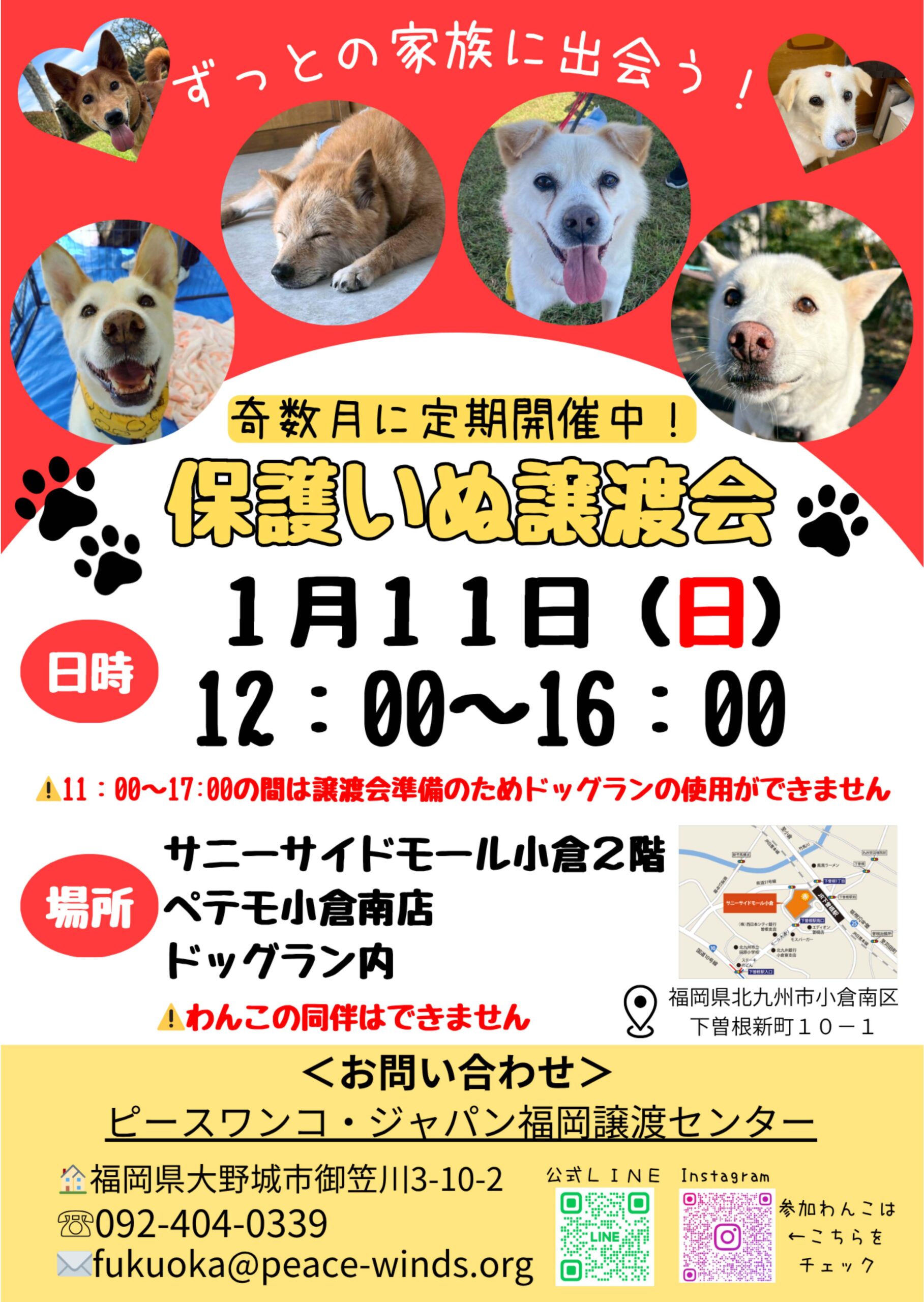 ペテモ】保護いぬ譲渡会開催！ | サニーサイドモール小倉